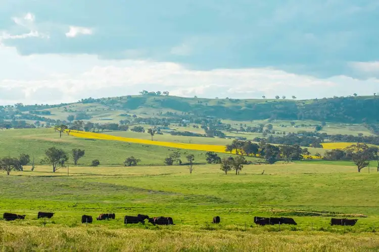 Seventh view of Homely rural property listing, 193 Duramana Road, Eglinton NSW 2795
