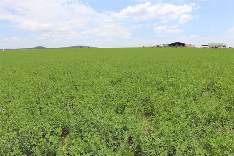 Third view of Homely rural property listing, 114 A Creek Road, Eidsvold QLD 4627