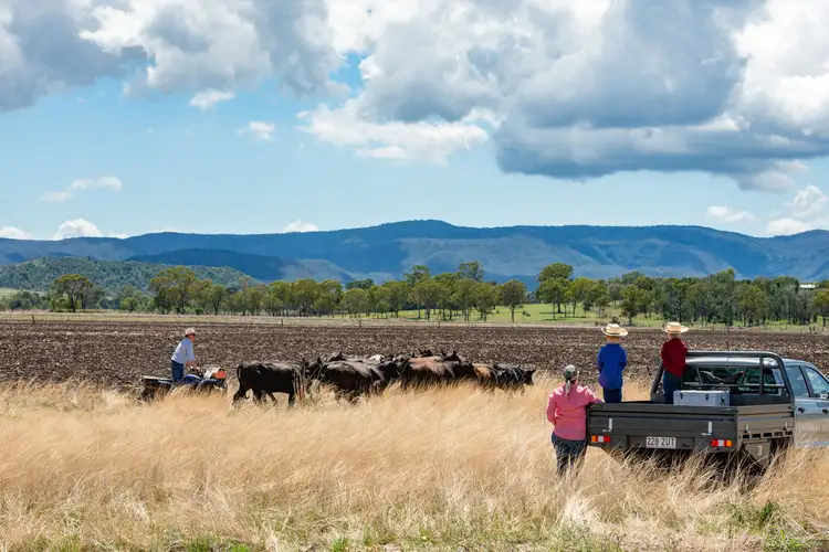 Sixth view of Homely rural property listing, 4435 Bunya North Highway, Bell QLD 4408