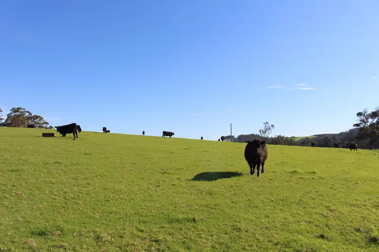 Fourth view of Homely rural property listing, 1529 Scotsdale Road, Denmark WA 6333