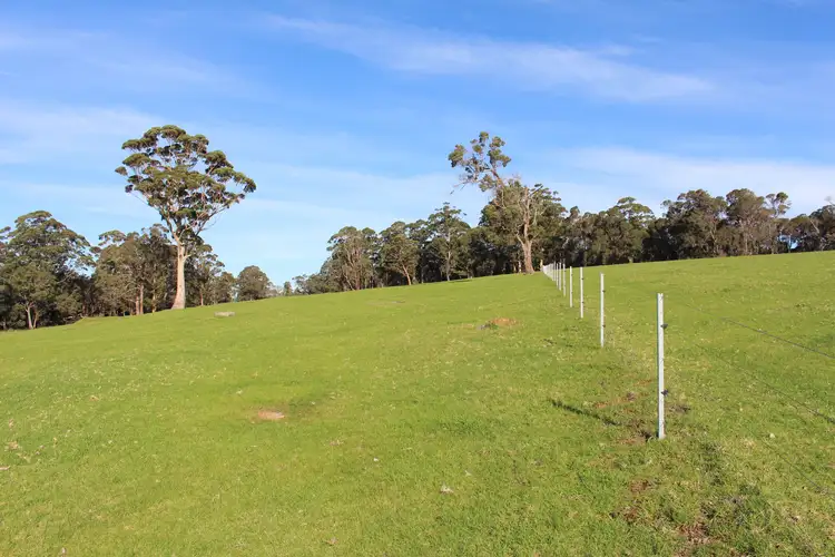 Fifth view of Homely rural property listing, 1529 Scotsdale Road, Denmark WA 6333