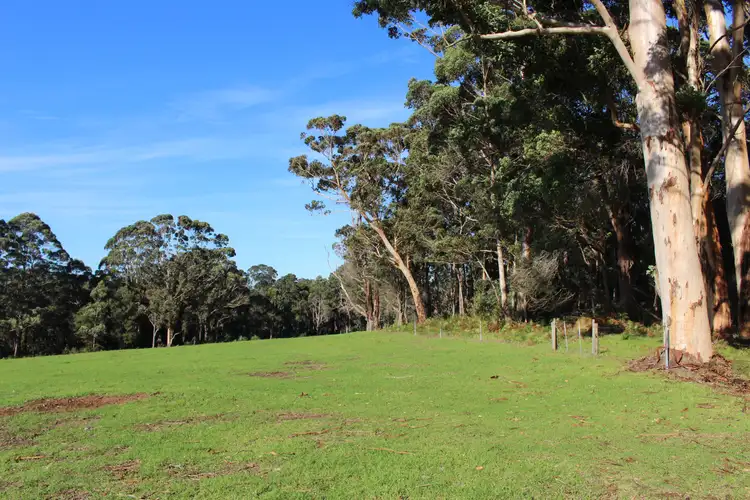 Seventh view of Homely rural property listing, 1529 Scotsdale Road, Denmark WA 6333