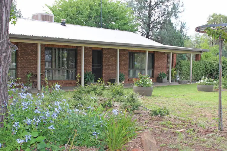 Main view of Homely house listing, 19 NAMOI, Baradine NSW 2396