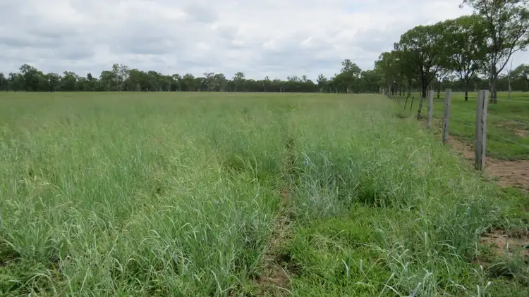 Fourth view of Homely rural property listing, Green Haven Bishops Road, Windera, Murgon QLD 4605