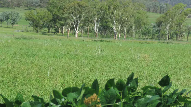 Seventh view of Homely rural property listing, Green Haven Bishops Road, Windera, Murgon QLD 4605