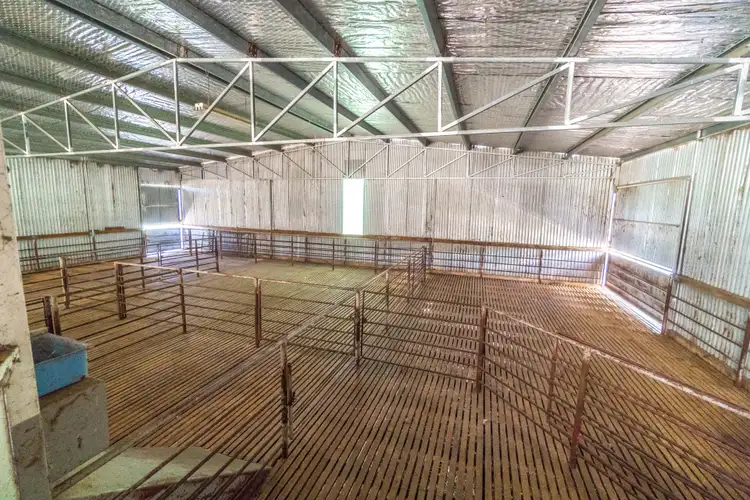 Fifth view of Homely rural property listing, 361 Waterhole Creek Road, Eugowra NSW 2806