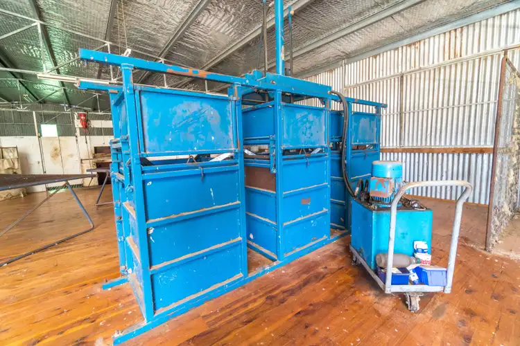 Sixth view of Homely rural property listing, 361 Waterhole Creek Road, Eugowra NSW 2806