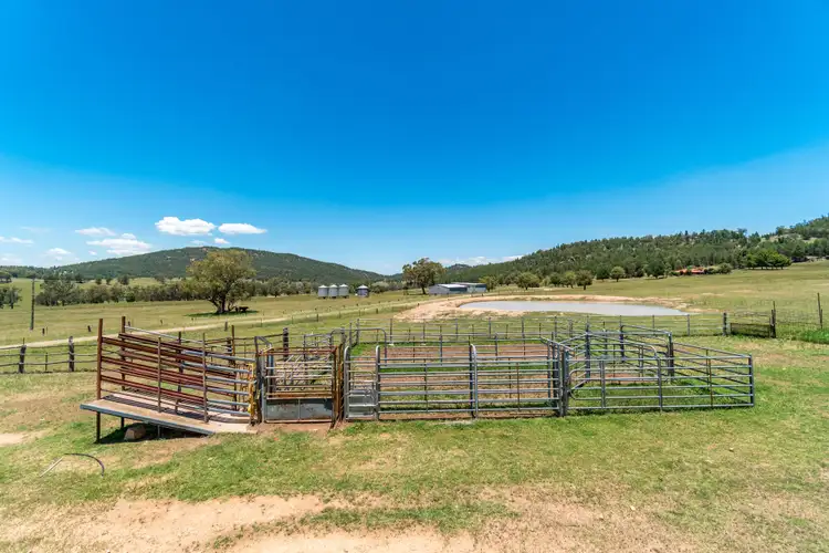 Seventh view of Homely rural property listing, 361 Waterhole Creek Road, Eugowra NSW 2806