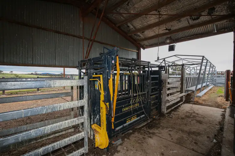 Seventh view of Homely rural property listing, 3231 Boorolong Road, Armidale NSW 2350