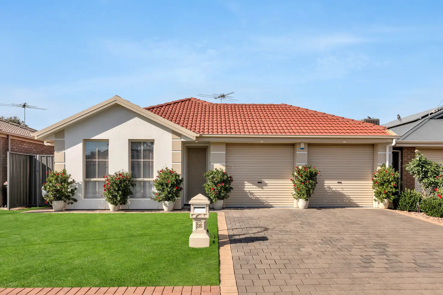 Main view of Homely house listing, 36 Jarrah Drive, Munno Para West SA 5115