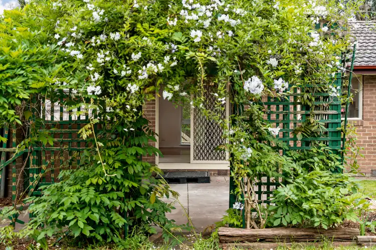 Second view of Homely house listing, 3 Quandong Court, Frankston VIC 3199