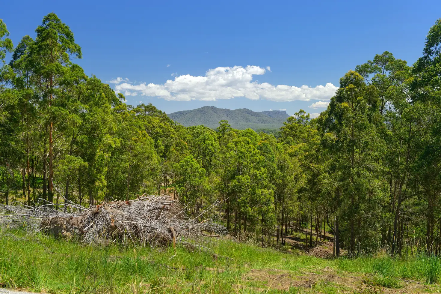 Main view of Homely land listing, 29 Rawdon Island Road, Sancrox NSW 2446