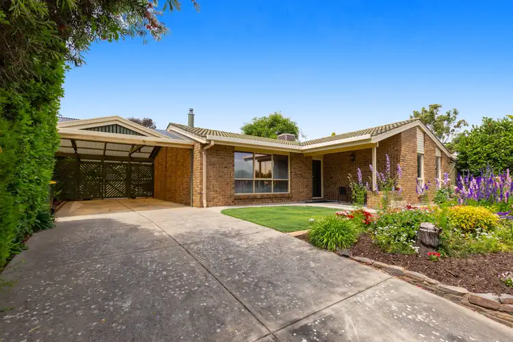 17 Carignane Street, Wynn Vale SA 5127