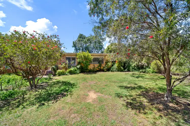 66 Lachlan Street, Macquarie ACT 2614