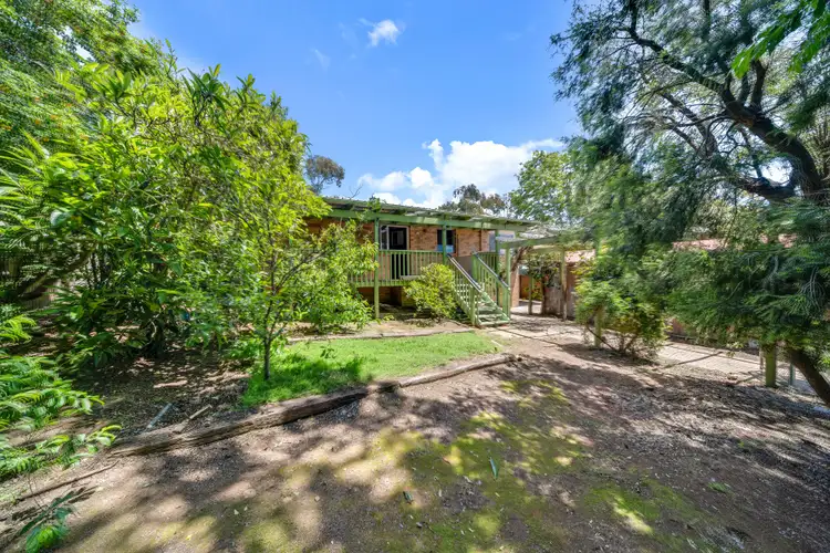 Second view of Homely house listing, 66 Lachlan Street, Macquarie ACT 2614