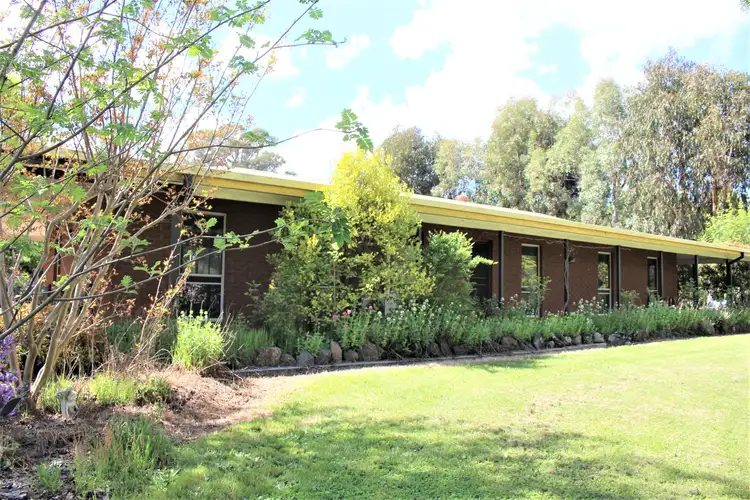 Main view of Homely house listing, 19 Booth Street, Tumbarumba NSW 2653