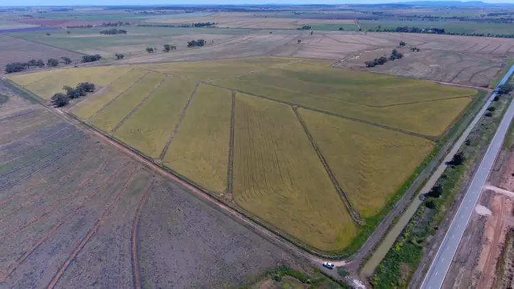 Second view of Homely rural property listing, "Part Farm" 1078, Murrami NSW 2705