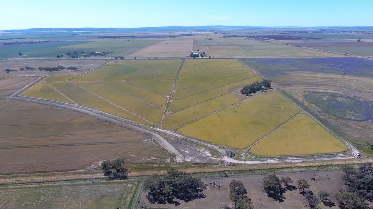 Fourth view of Homely rural property listing, "Part Farm" 1078, Murrami NSW 2705