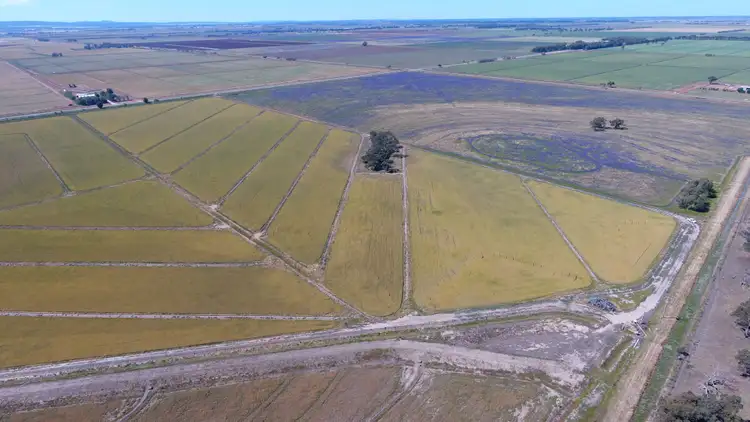 Fifth view of Homely rural property listing, "Part Farm" 1078, Murrami NSW 2705