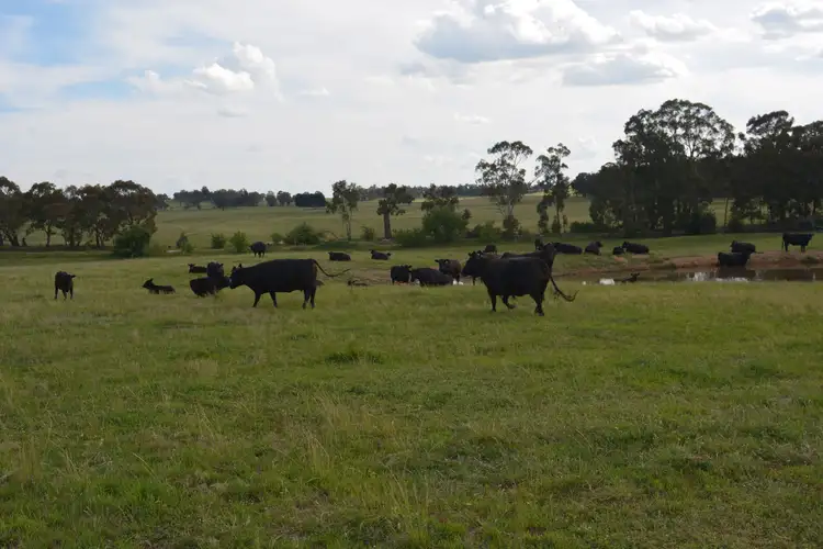 1566 Golspie Road, Taralga NSW 2580