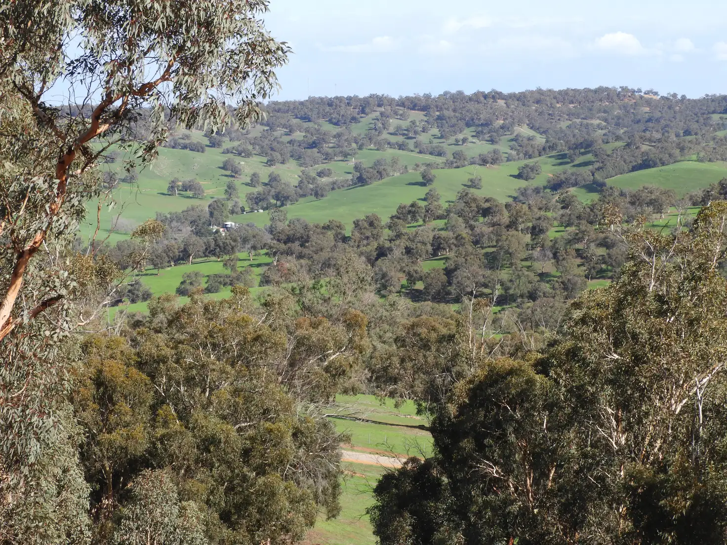 Main view of Homely rural property listing, Lot 716 Lower Chittering Road, Chittering WA 6084
