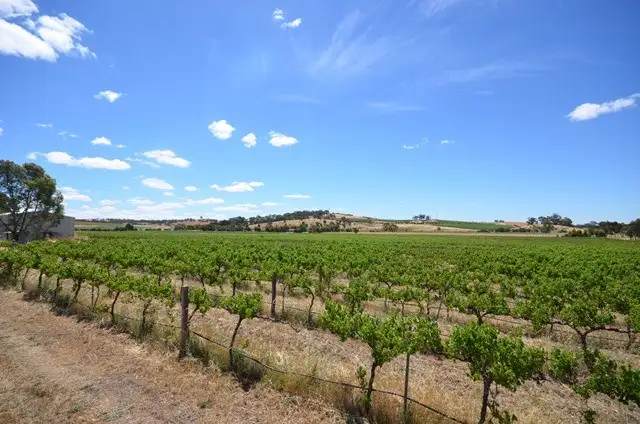EMERALD Horrocks Highway, Clare SA 5453