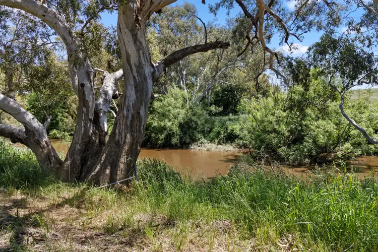 Fourth view of Homely house listing, 517 Yass River Road, Yass River NSW 2582