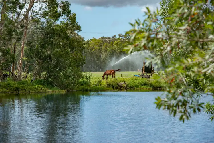 Second view of Homely rural property listing, 1759 Roys Road, Coochin Creek QLD 4519