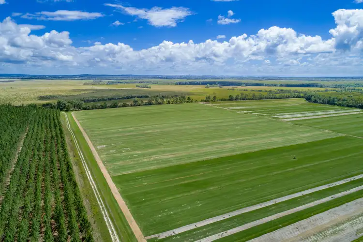 Fourth view of Homely rural property listing, 1759 Roys Road, Coochin Creek QLD 4519