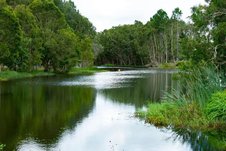 Sixth view of Homely rural property listing, 1759 Roys Road, Coochin Creek QLD 4519
