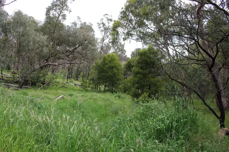 Second view of Homely rural property listing, 164 Power Street, Tumbarumba NSW 2653