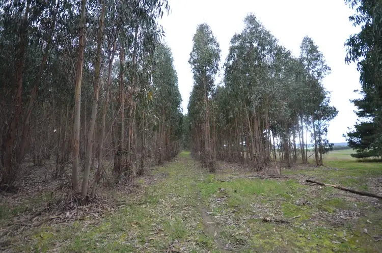 Third view of Homely rural property listing, CA 46 Moreton Hill Road, Skipton VIC 3361