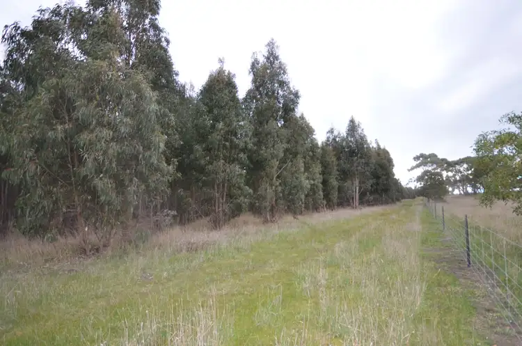 Fourth view of Homely rural property listing, CA 46 Moreton Hill Road, Skipton VIC 3361