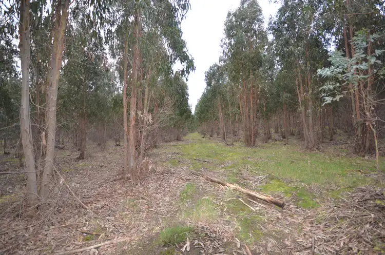 Seventh view of Homely rural property listing, CA 46 Moreton Hill Road, Skipton VIC 3361