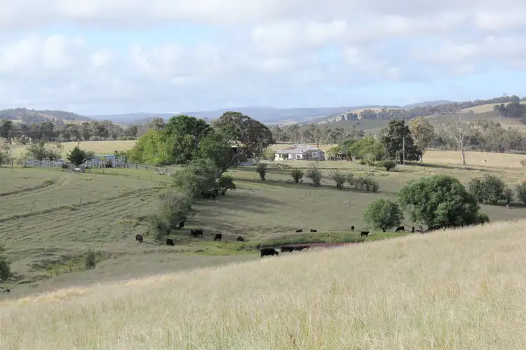 Main view of Homely rural property listing, 11334 Bruxner Highway, Tenterfield NSW 2372