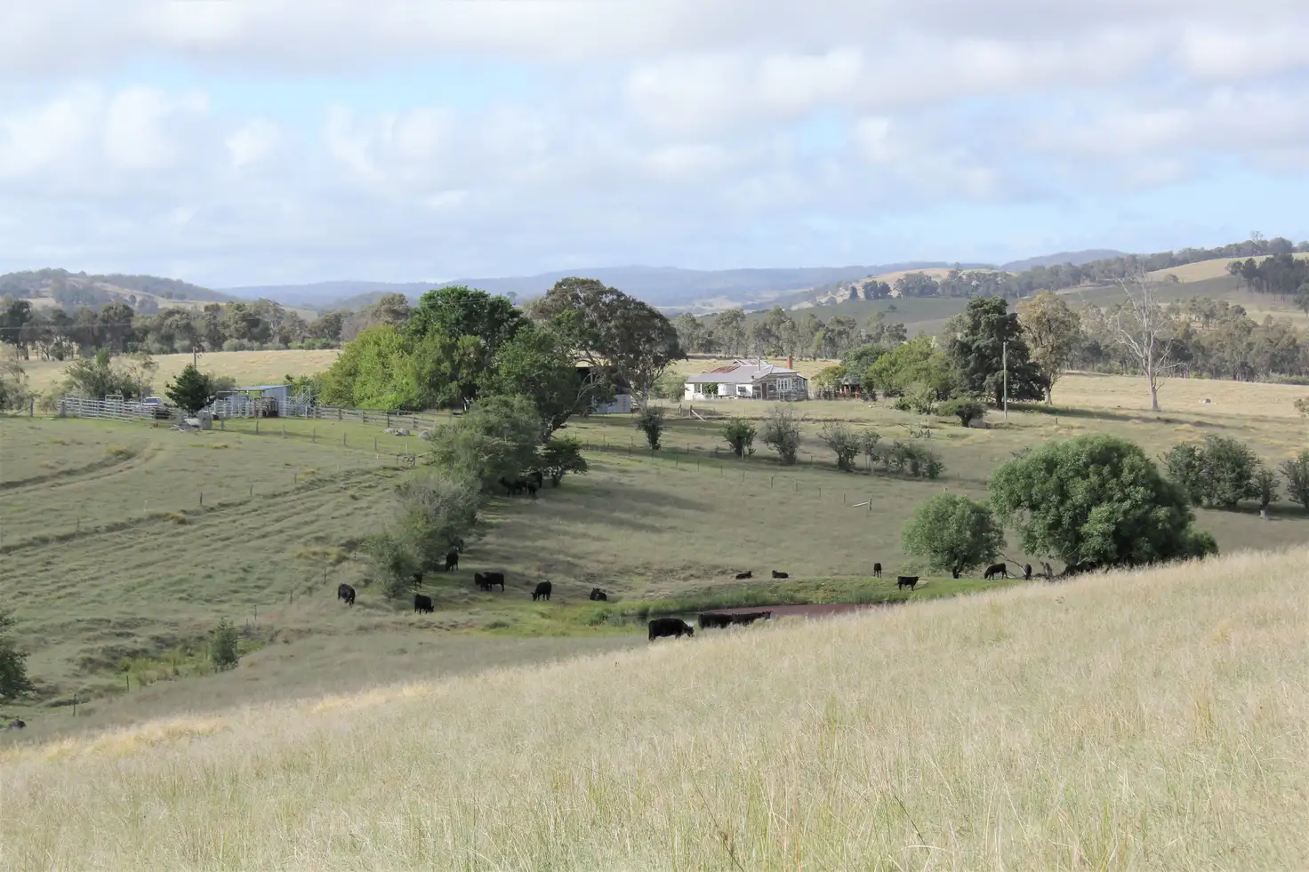 Main view of Homely rural property listing, 11334 Bruxner Highway, Tenterfield NSW 2372