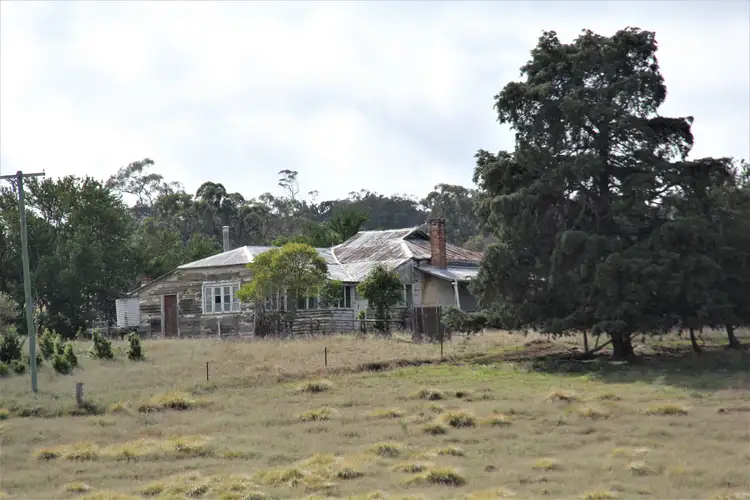 Second view of Homely rural property listing, 11334 Bruxner Highway, Tenterfield NSW 2372