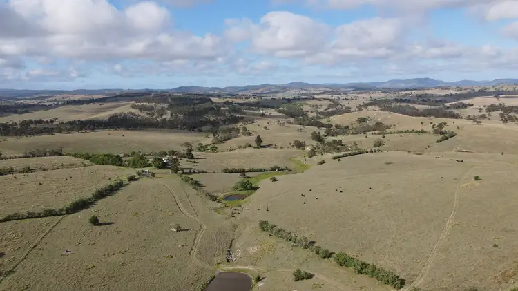 Third view of Homely rural property listing, 11334 Bruxner Highway, Tenterfield NSW 2372