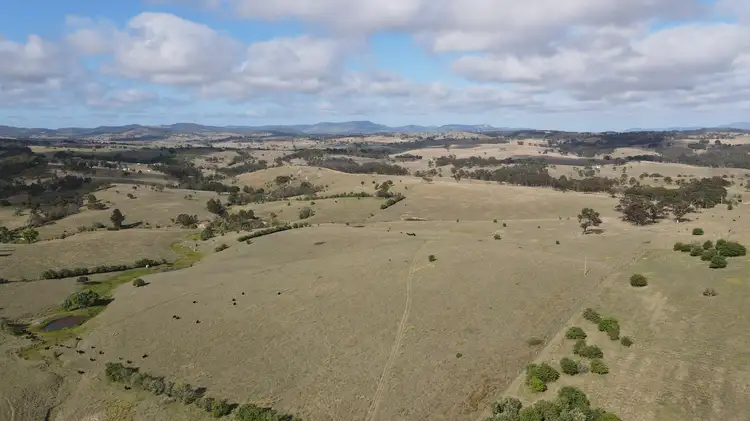 Fifth view of Homely rural property listing, 11334 Bruxner Highway, Tenterfield NSW 2372