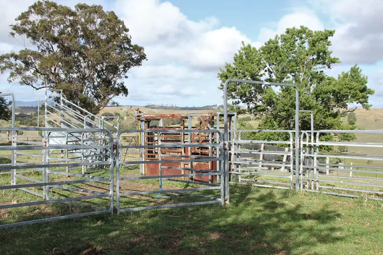 Sixth view of Homely rural property listing, 11334 Bruxner Highway, Tenterfield NSW 2372