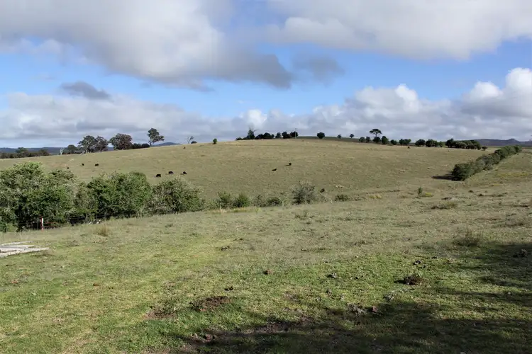 Seventh view of Homely rural property listing, 11334 Bruxner Highway, Tenterfield NSW 2372