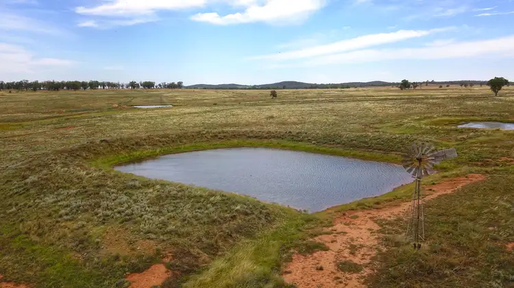 Main view of Homely rural property listing, Fermoy 9286 The Bogan Way, Tullamore NSW 2874