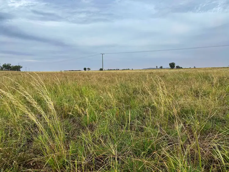 Third view of Homely rural property listing, Fermoy 9286 The Bogan Way, Tullamore NSW 2874