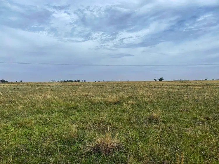 Fourth view of Homely rural property listing, Fermoy 9286 The Bogan Way, Tullamore NSW 2874