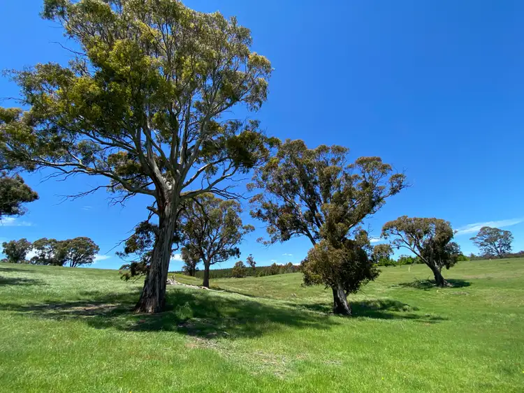 Seventh view of Homely rural property listing, Address available on request