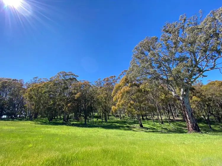 Second view of Homely rural property listing, 1696 Abercrombie Road, Black Springs NSW 2787