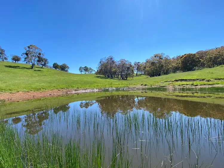 Third view of Homely rural property listing, 1696 Abercrombie Road, Black Springs NSW 2787