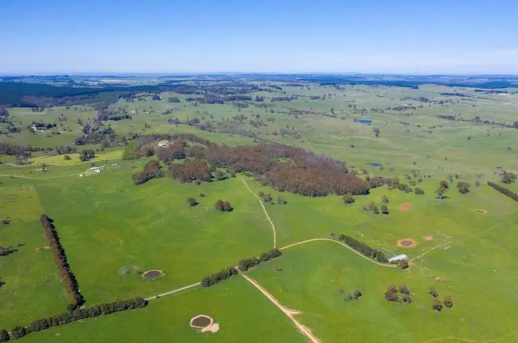 Fourth view of Homely rural property listing, 1696 Abercrombie Road, Black Springs NSW 2787