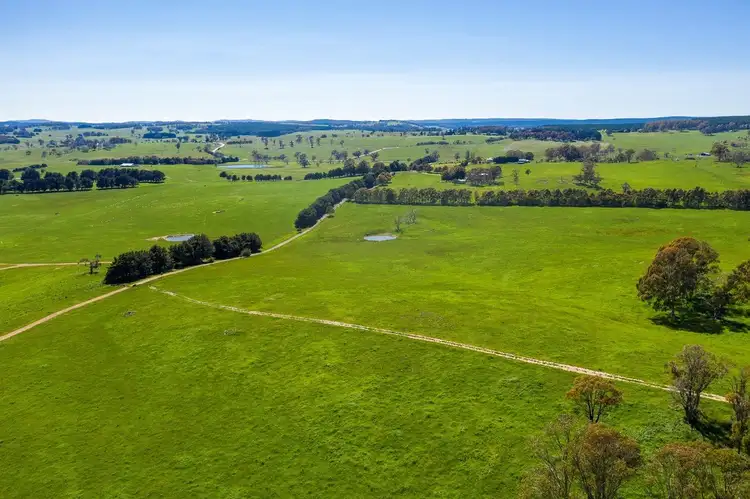 Fifth view of Homely rural property listing, 1696 Abercrombie Road, Black Springs NSW 2787