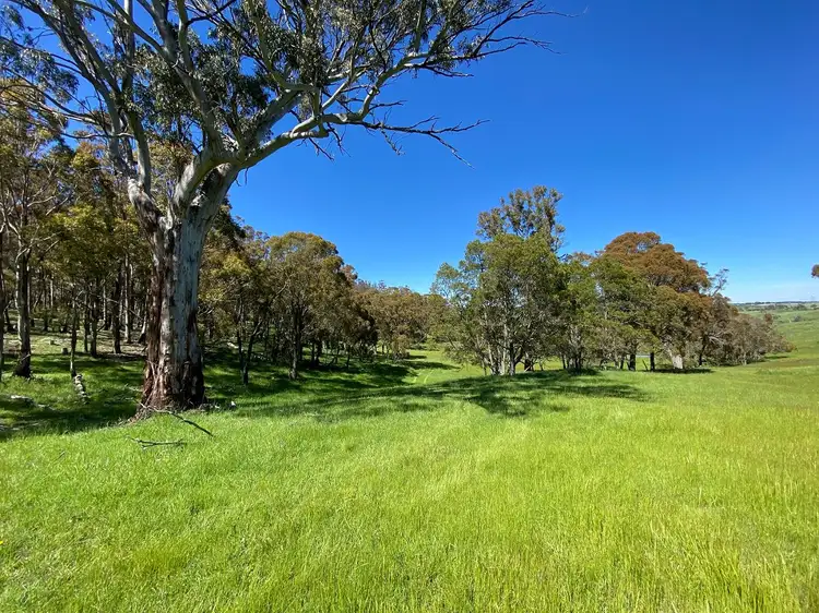 Sixth view of Homely rural property listing, 1696 Abercrombie Road, Black Springs NSW 2787